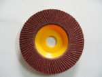 Flap Discs with Plastic Backing Pad