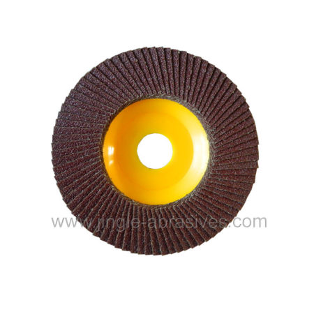 Flap Discs with Plastic Backing Pad